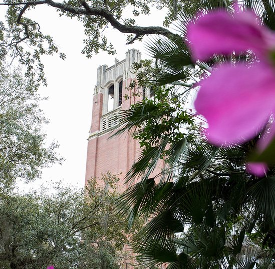 Hamilton Center welcomes 21 new faculty members